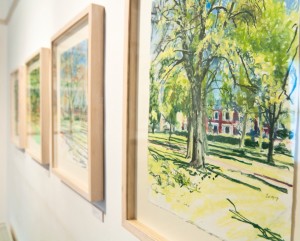 John Blandy's trees in 2010