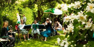 Music in the Tea Garden in 2010
