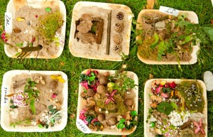 More miniature gardens in 2010