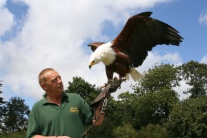 QPD Africa Show- Eagle Heights