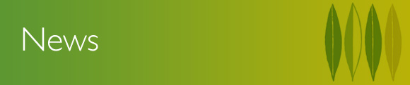 banner-news