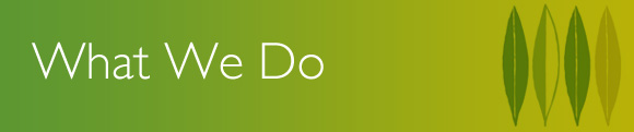 banner-whatwedo