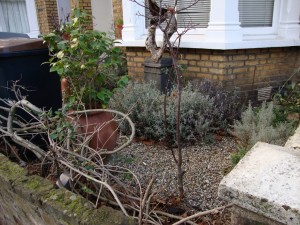 Planted front garden